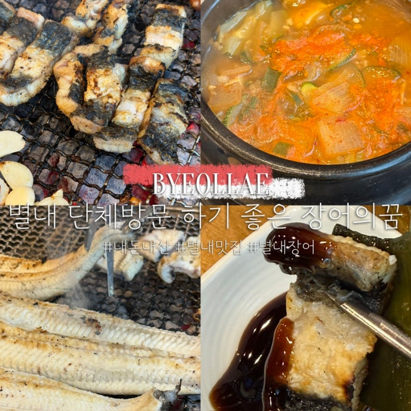 [별내 장어의꿈] 단체 회식하기 좋은 몸보신 메뉴 별내 장어맛집