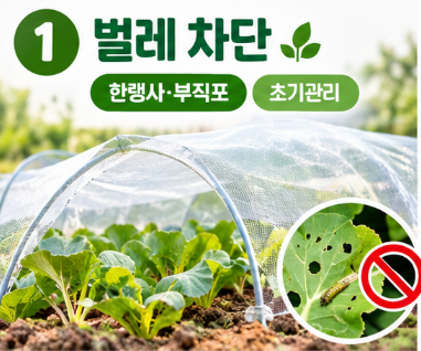 가을 무·배추, 이것만 알면 김장이 달라진다농촌진흥청 재배기술을 바탕으로 뽑은 ‘진짜 ....