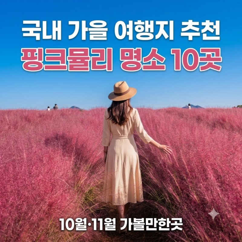 Domestic Travel: Top 10 Recommended October Travel Destinations, Autumn Trips, and Pink Muhly Spots for November