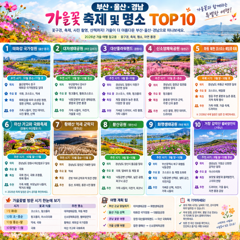 부산·울산·경남 가을꽃 축제 및 명소 TOP 10