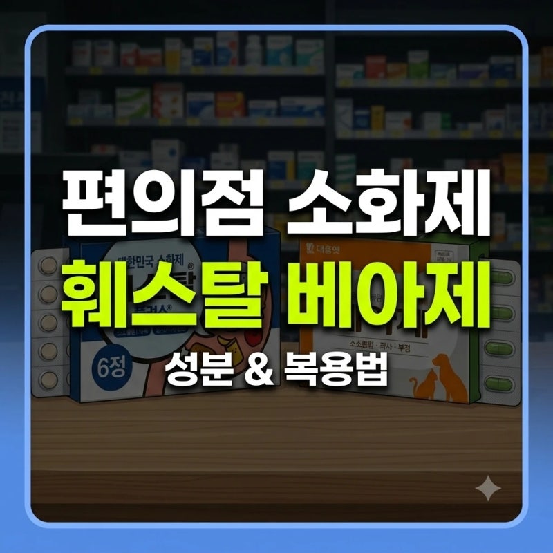편의점 소화제 추천: 훼스탈 베아제 성분 차이와 올바른 복용법