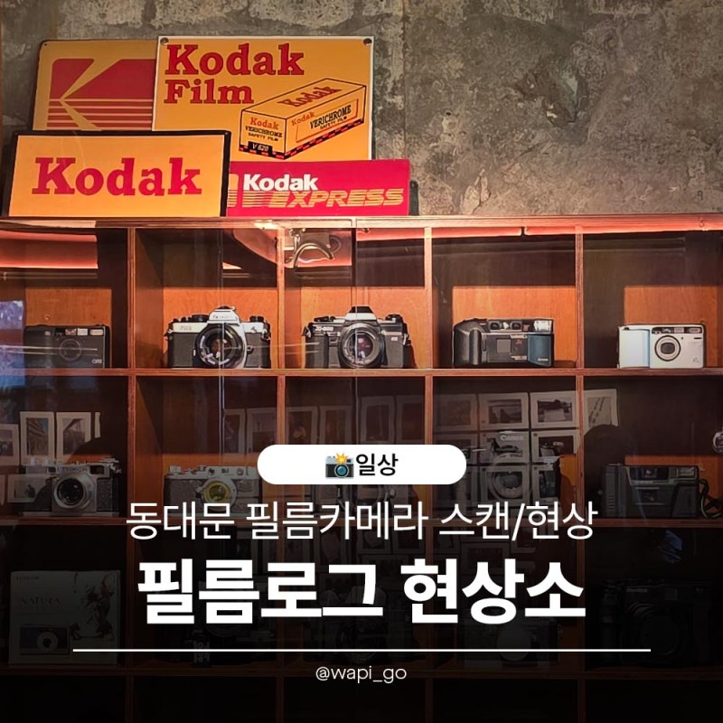 [일상] 동대문 필름카메라 현상, 스캔 가능한 '필름로그' 후기