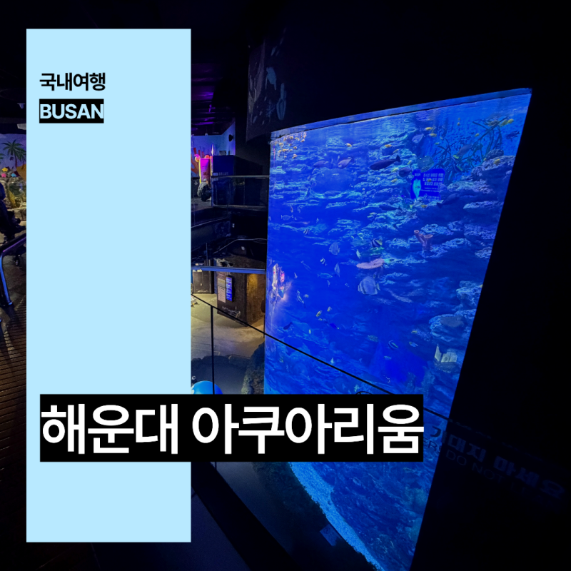 해운대 아쿠아리움 할인 부산 가볼만한곳 실내 놀거리