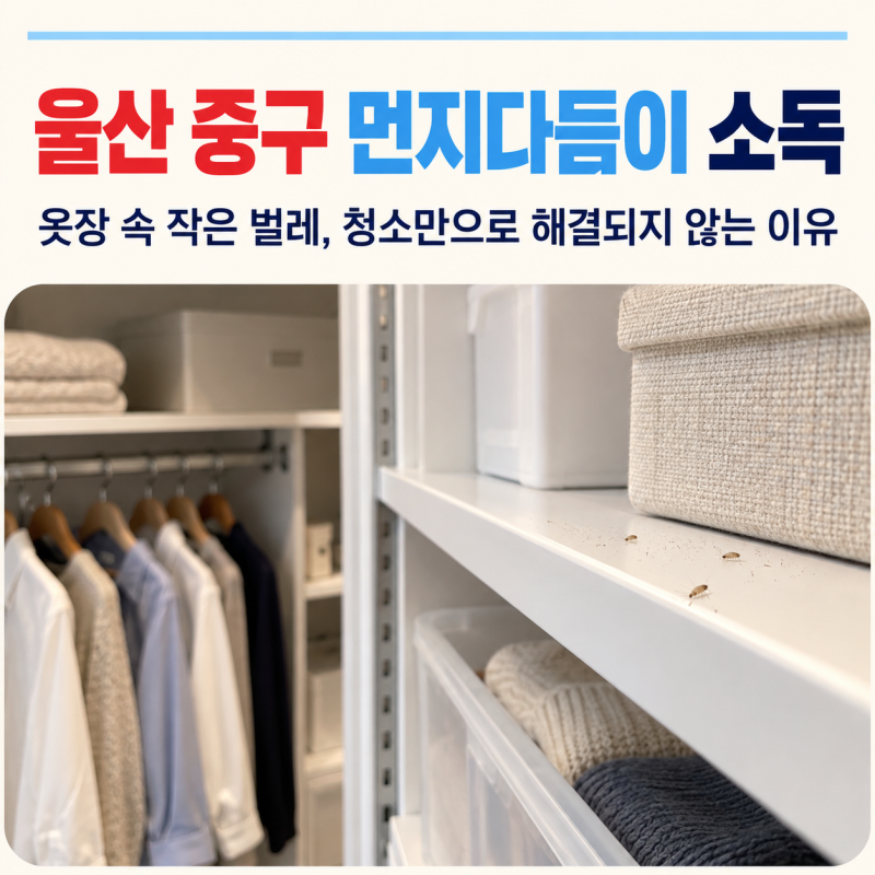 울산 중구 먼지다듬이 소독 필요한 옷장 속 미세하게 움직이는 벌레