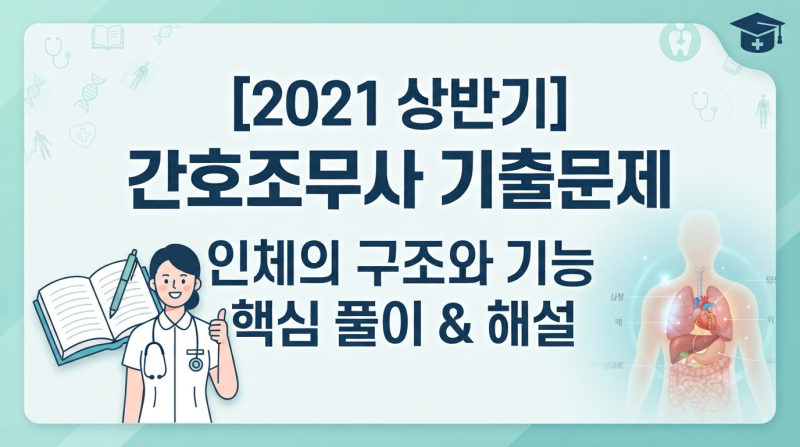 [2021 상반기] 간호조무사 기출문제 인체의 구조와 기능 핵심 풀이 & 해설