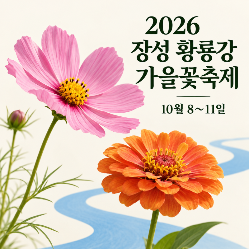 2026 장성 황룡강 가을꽃축제 일정｜10월 8~11일, 꽃 보러 언제 가면 좋을까?