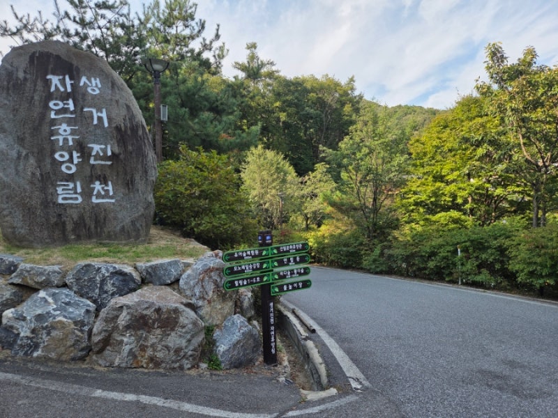 충북 생거진천자연휴양림 6인실 홍단풍 1호 컨디션 및 솔직후기!