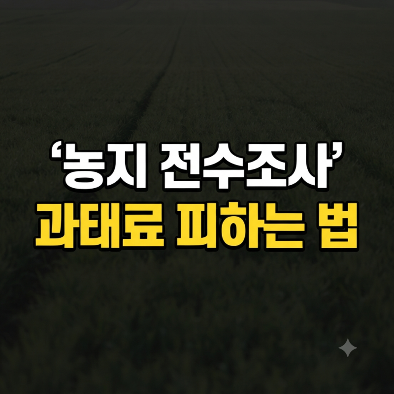 농지 전수조사 대응 방법, 결과 확인 방법(+과태료 상속 증여)