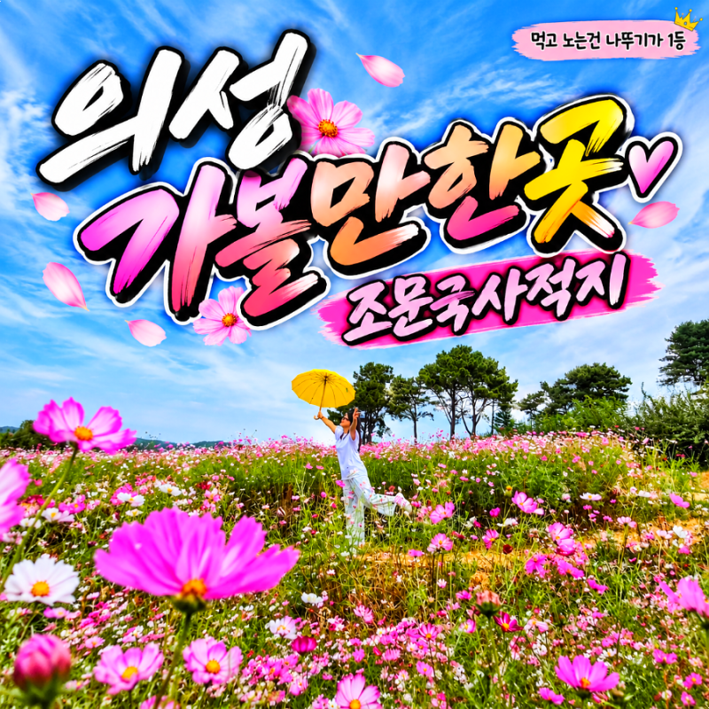 9월 10월 대구근교 의성 가볼만한곳 코스모스 만개한 조문국 사적지