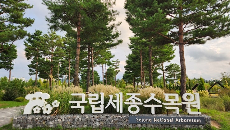 추석 연휴 가볼만한곳 국립세종수목원 무료개방 야간개장 한복 대여