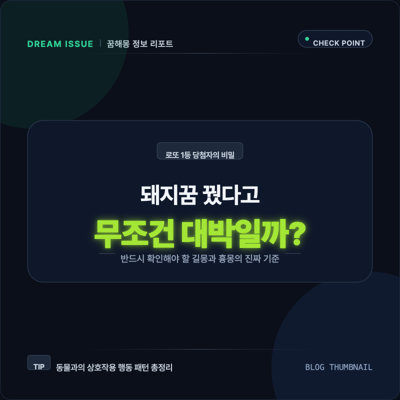 로또 1등 당첨자가 꿨다는 돼지꿈, 무조건 복권을 사야 할까?