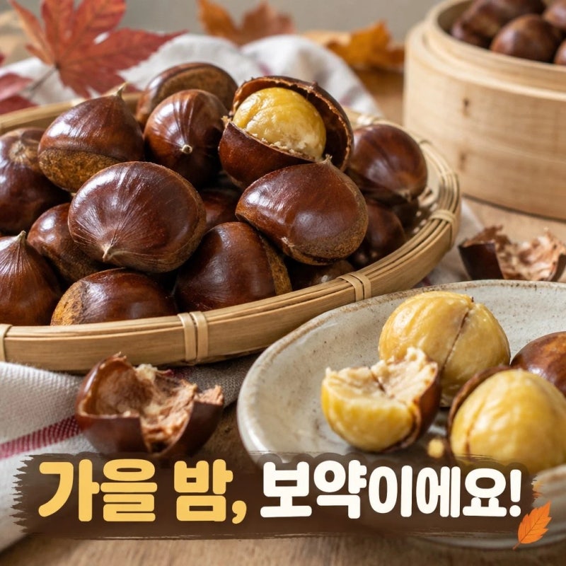 [밤 효능] 하루 몇개까지 좋을까? 가을 밤이 좋은 이유부터 올바른 섭취 방법과 부작용