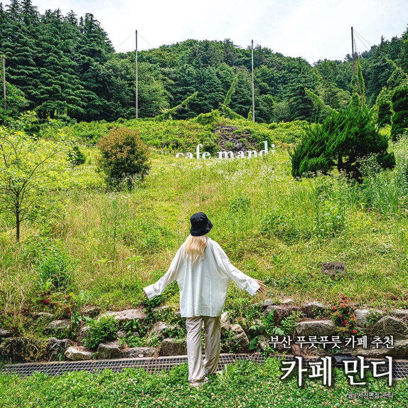 부산 핫플레이스 카페 만디 산카페 부산 데이트 장소 코스 부산 볼거리 추천