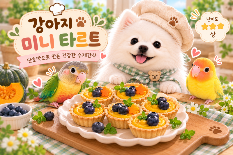 강아지 미니 타르트 만들기｜장 건강을 생각한 단호박 수제간식｜난이도 ⭐⭐⭐