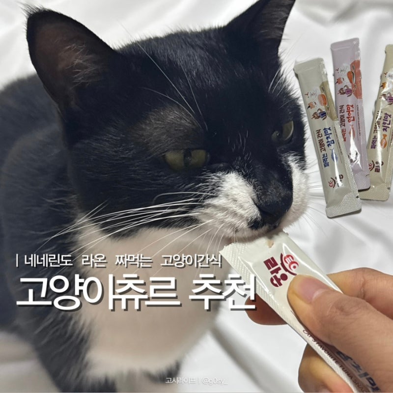 고양이츄르 기호성 좋은 네네린도 라온 급여 솔직후기