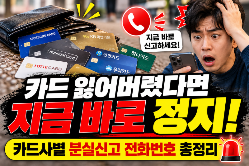 카드 잃어버렸다면 당황하지 마세요 카드사별 분실신고 전화번호 총정리