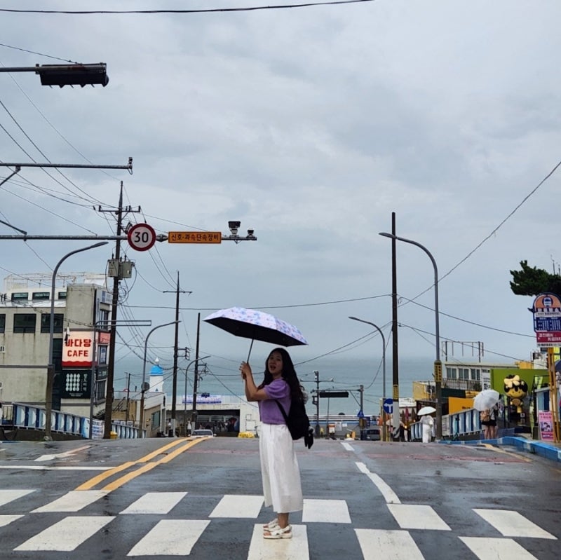 부산 해운대 해변열차 코스 추천 할인 예약 방법 주차장 꿀팁