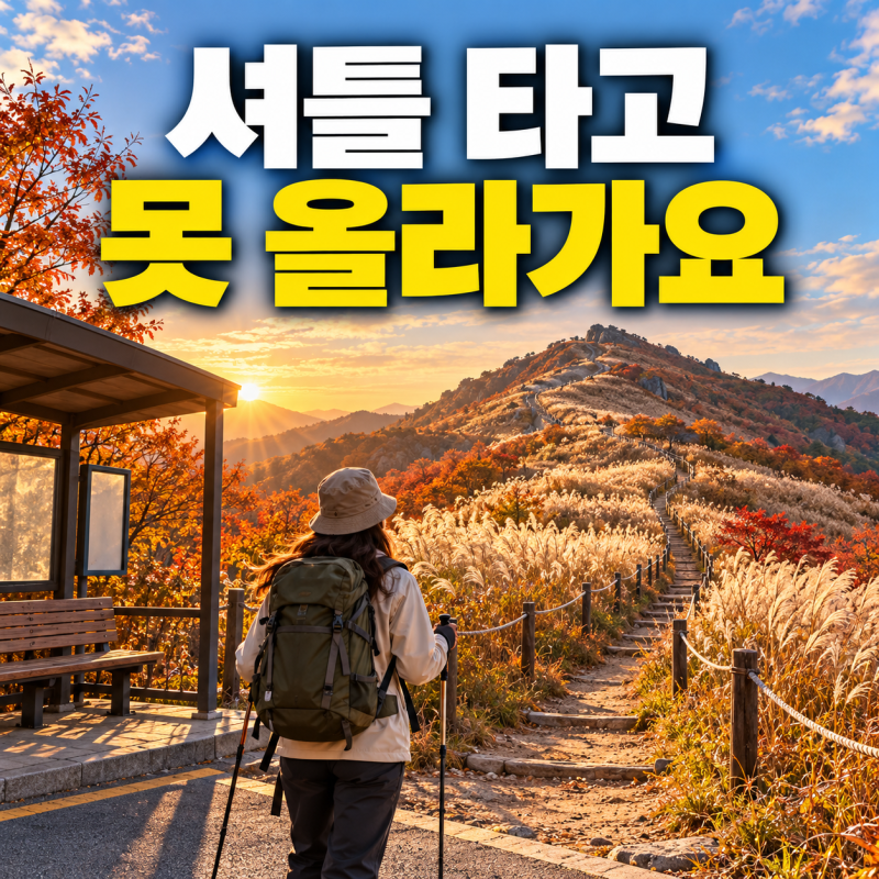 민둥산 억새 보러 간다면, 발구덕 셔틀 중단부터 확인하세요