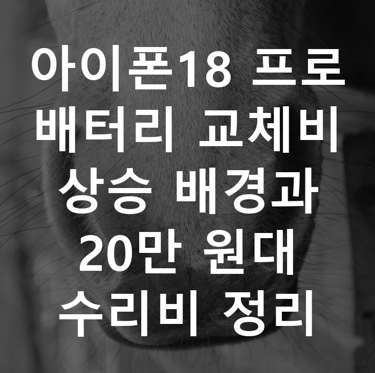 아이폰18 프로 배터리 교체비 상승 배경과 20만 원대 수리비 정리