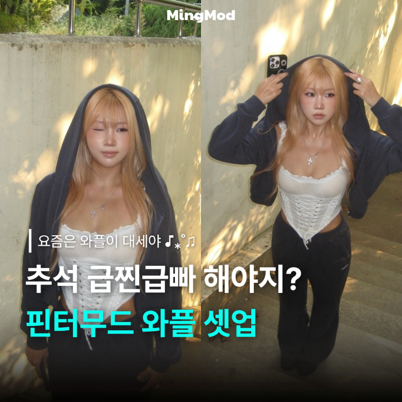 HDEX 와플 트레이닝 세트 후기 핀터레스트 감성 뚝딱!
