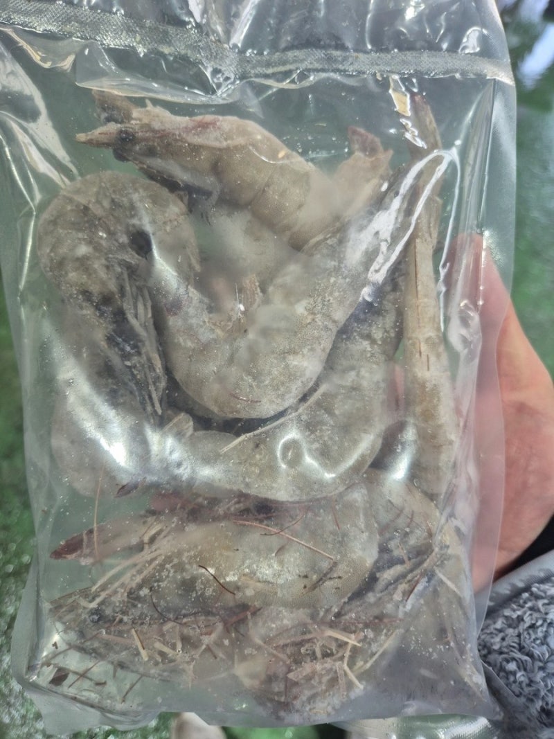 냉동새우 해동, 냉장 하룻밤 급하면 찬물 30분