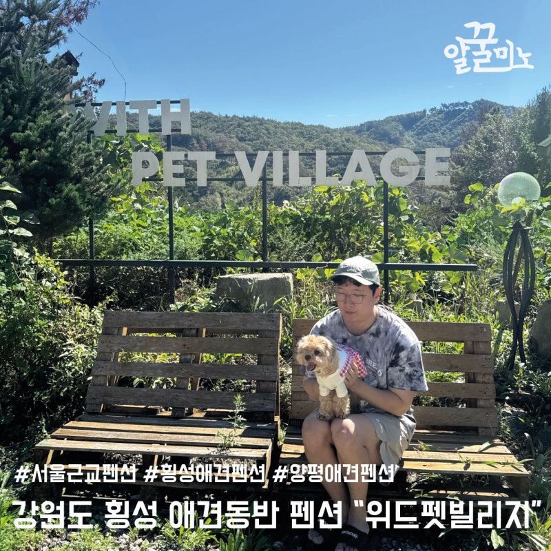 With Pet Village: A Quiet Pet-Friendly Pension in Hoengseong, Gangwon-do, an Hour from Seoul with Great Mountains and Air