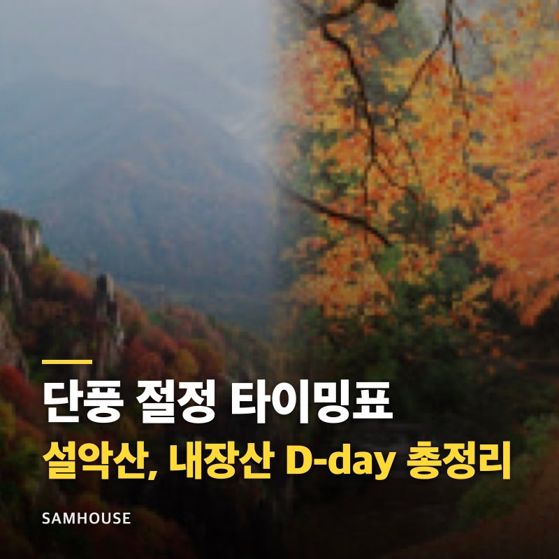 2026 전국 단풍 절정 시기 지역별 총정리 설악산부터 내장산까지
