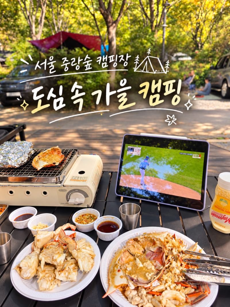 서울 가볼만한 곳 | 도심 속 가을 캠핑, 중랑가족캠핑장(중랑캠핑숲) 후기
