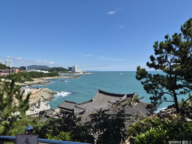 부산 여행 코스 추천｜해동용궁사 청사포 감천문화마을 하루 코스 부산 여행