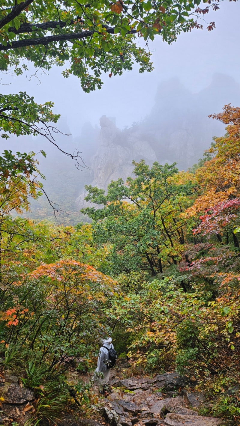 설악산 오색-대청봉-소청대피소-봉정암-영시암-백담사,,25일 만에 또 우중 산행,, 설악 단풍은....