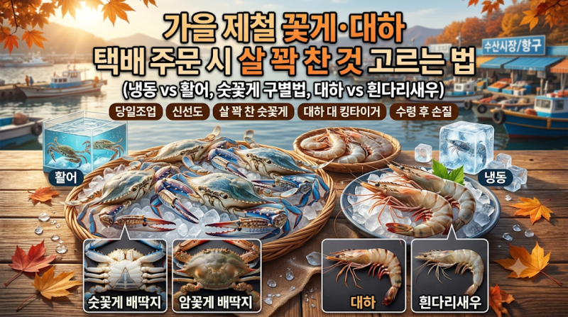 가을 제철 꽃게·대하 택배 주문 시 살 꽉 찬 것 고르는 법 (냉동 vs 활어)