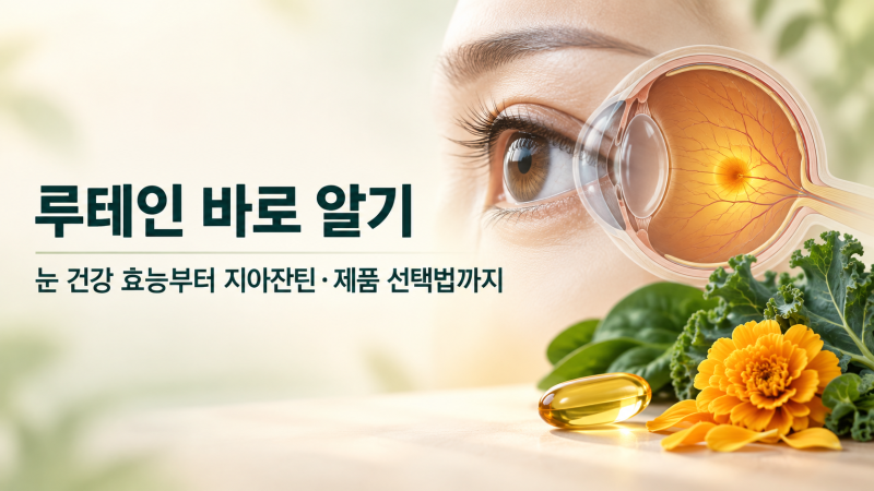 루테인 바로 알기: 눈 건강 효능부터 지아잔틴·제품 선택법까지