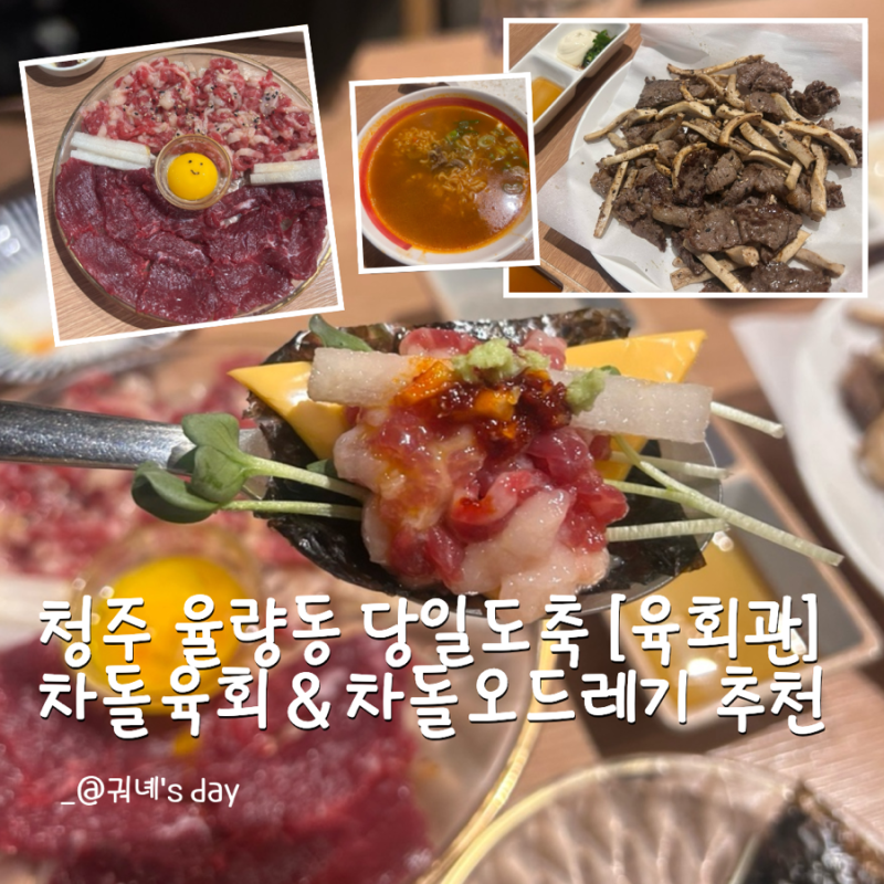 청주 율량동 당일 도축 육회관 신선한 차돌 육회 차돌 오드레기 구이 후기