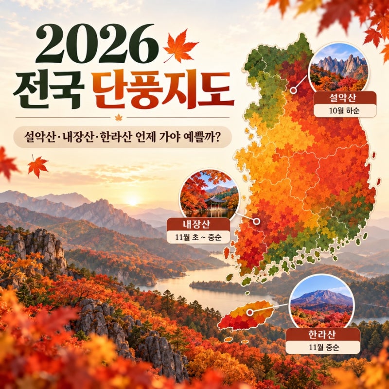 2026 전국 단풍지도｜설악산·내장산·한라산 언제 가야 예쁠까?