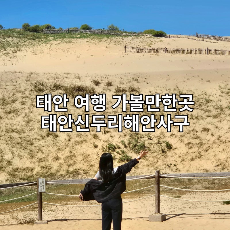 Sinduri Coastal Sand Dunes in Taean | Recommended Taean Travel Course! Visiting the Sand Dunes Created by Nature