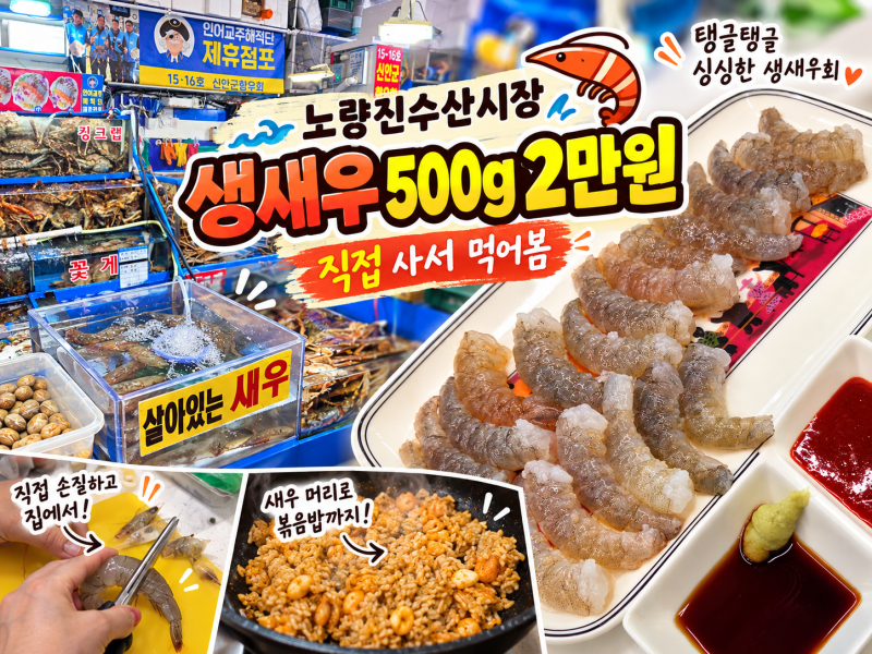 노량진수산시장 활새우 구매 후기, 인어교주해적단 시세 보고 500g 2만원
