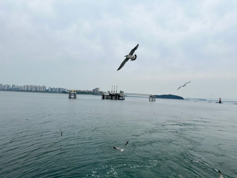 Incheon Wolmido Outing with Kids | Amusement Rides and a Cruise Ship