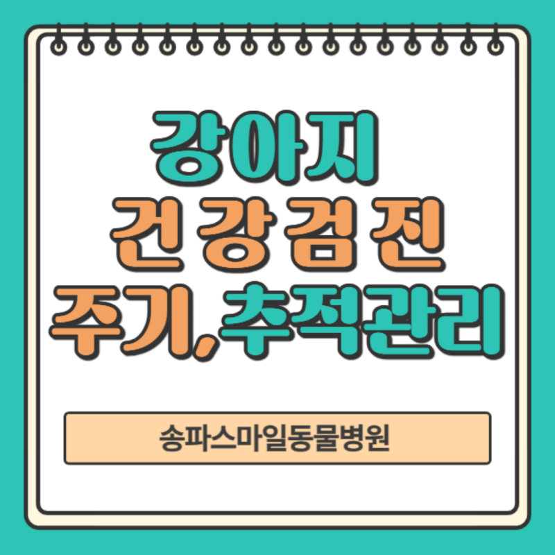 강아지 건강검진 주기, 12살 노령견 정밀검진에서 확인한 변화