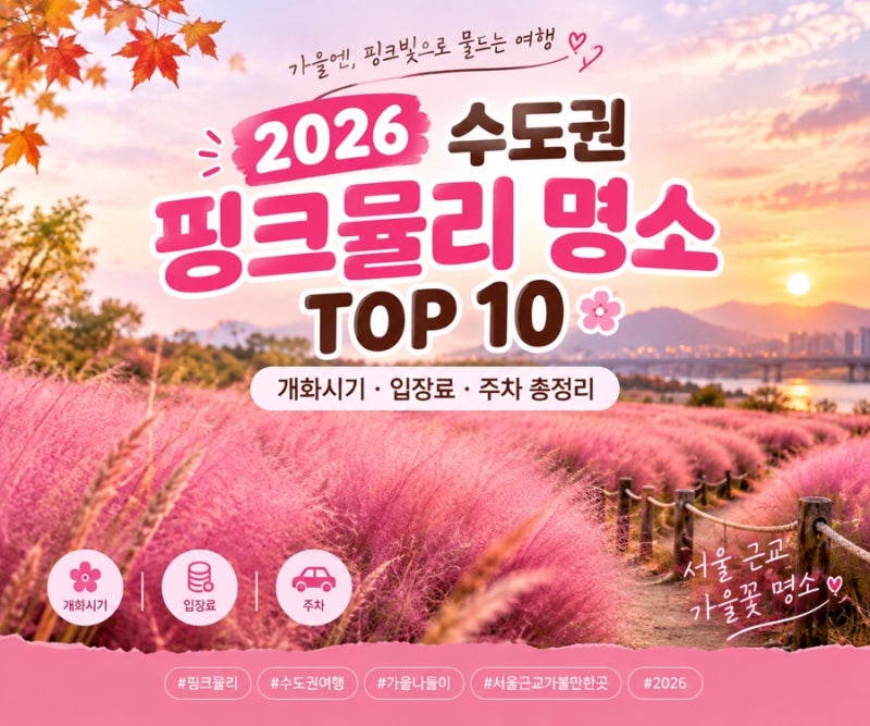 2026 수도권 핑크뮬리 명소 TOP 10 어디야? 주차·입장료·개화시기까지 한눈에~