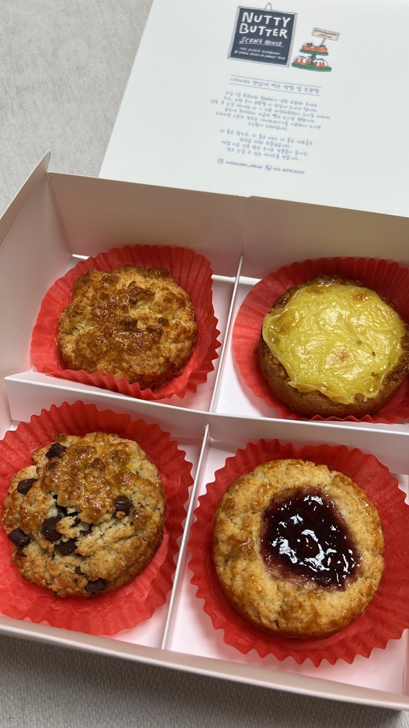 창원 빵지순례 가로수길 디저트 맛집 스콘 후기 너티버터