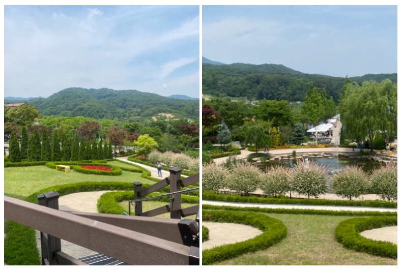 용인 가볼만한곳 5곳 가을꽃축제와 휴일 나들이 추천