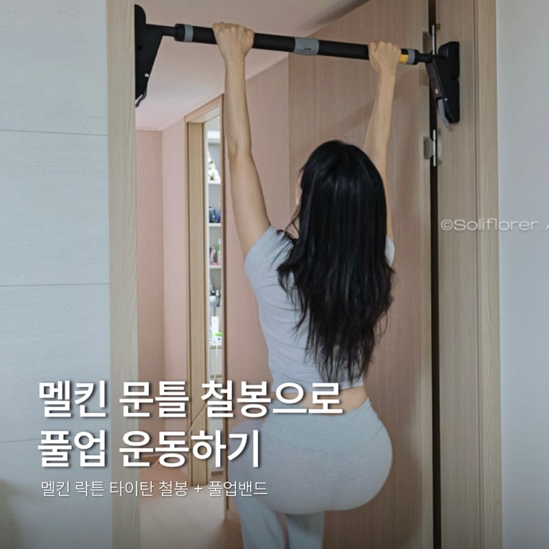 문틀철봉 턱걸이운동기구, 멜킨 락튼 타이탄 철봉 턱걸이 후기