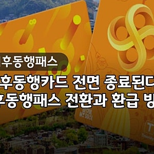 "얼마나 돌려받을까?" 10월부터 바뀌는 기후동행패스 환급형·정액형 계산법 완벽 분석 (기후....