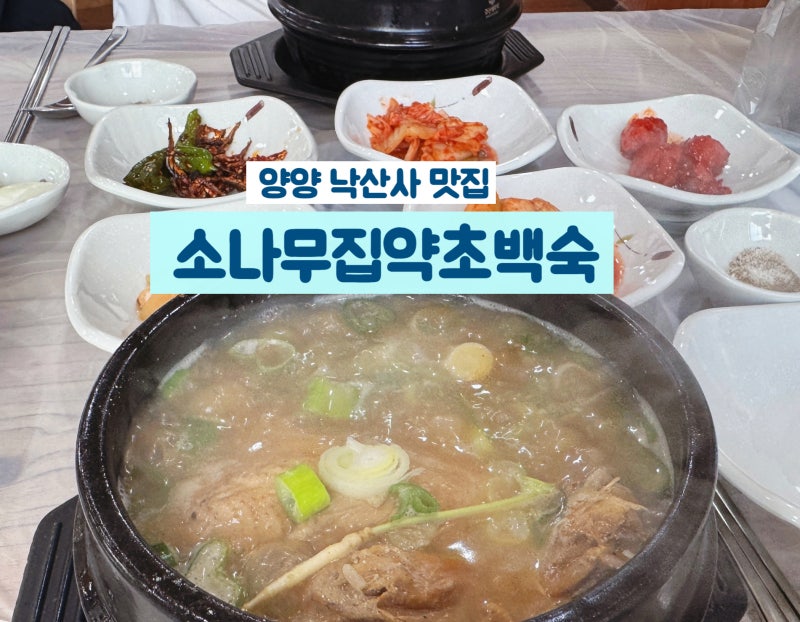 낙산사 관광 후 보약 한그릇! 양양 낙산사 맛집 삼계탕 백숙 맛집