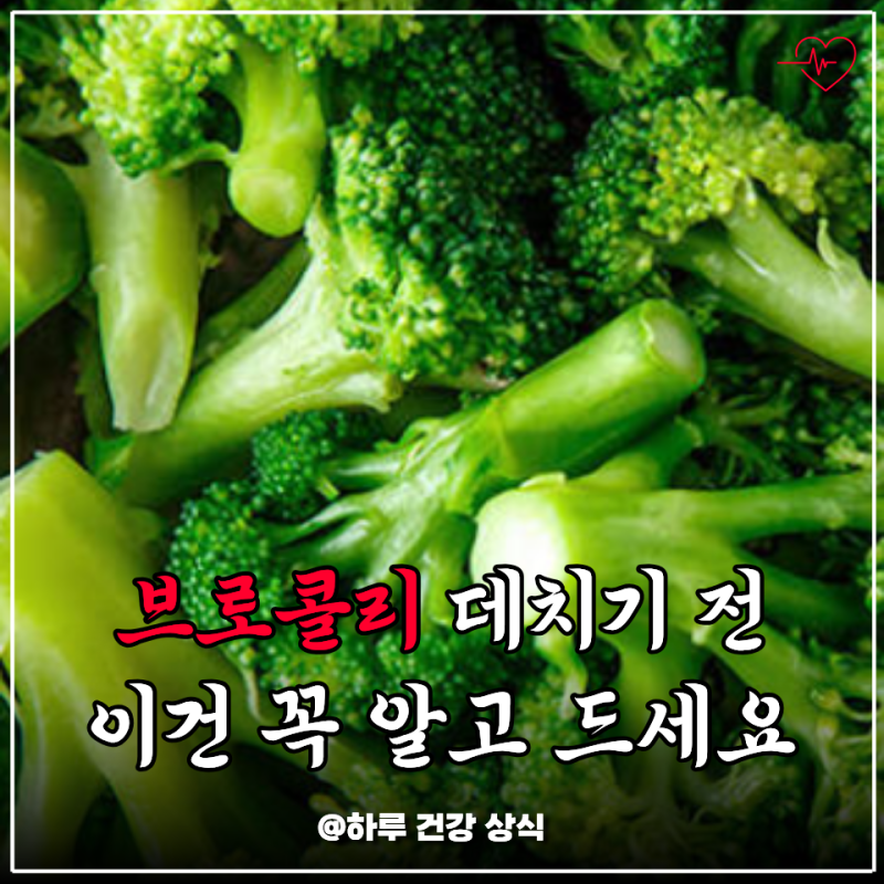 브로콜리 씻어서 삶기만 했는데, 영양소 반이 날아간다는 데치는 법과 냉동 보관 총정리