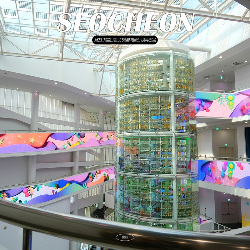 忠南親子好去處：舒川海洋博物館C-Curium - 位置、停車場、門票、參觀後記