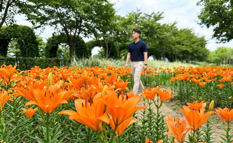 "42만㎡가 전부 정원이라고?" 가을꽃부터 억새까지 한꺼번에 만나는 거창창포원