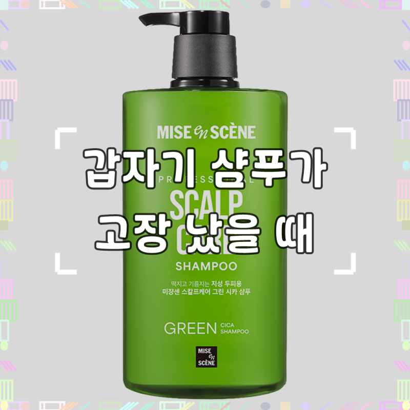 미쟝센 스칼프 케어 그린 시카 샴푸