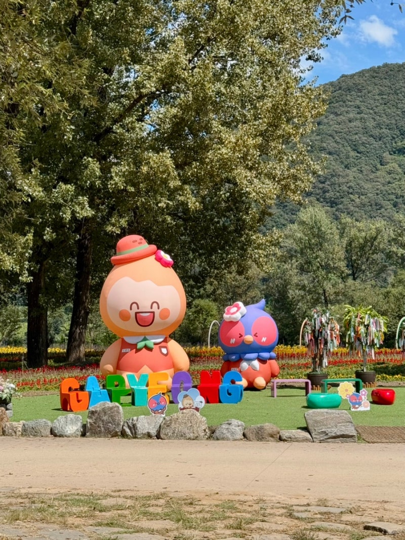 가평 1박2일 반려견과 가볼 만한 곳 Colorful Garden 자라섬 꽃 페스타 | 남이섬 여행 기록