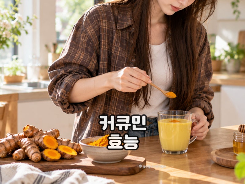 커큐민 효능 강황커큐민 강황과 차이 알아둘 점